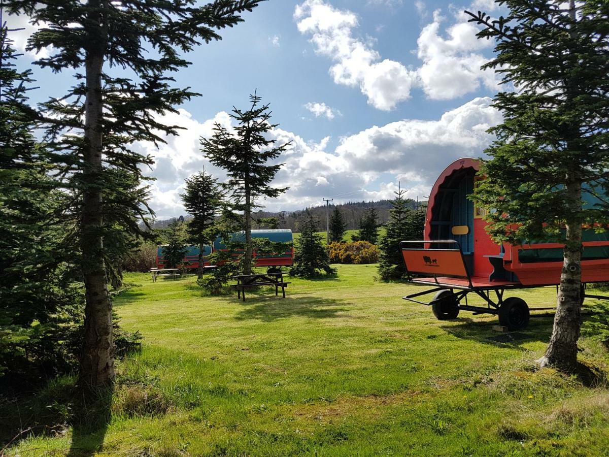 Clissmann Horse Caravans Glamping Ратдрам Екстер'єр фото