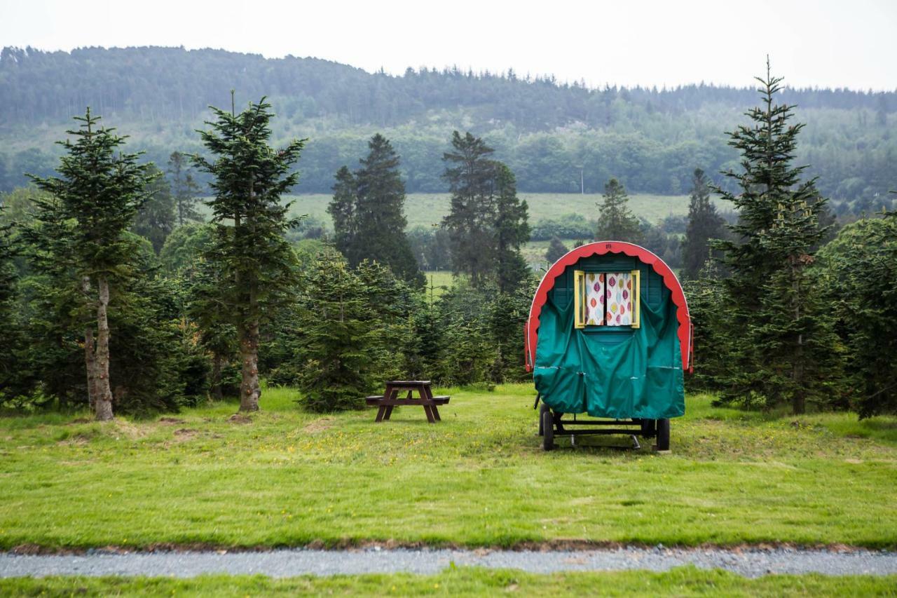 Clissmann Horse Caravans Glamping Ратдрам Екстер'єр фото